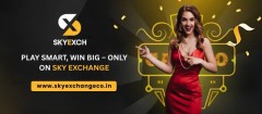 Cricket Vibes with Sky Exchange