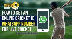 How to Get an Online Cricket ID WhatsApp Number for Live Cricket