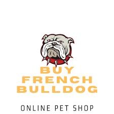 BUY FRENCH BULLDOGS PUPPIES ONLINE