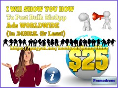 Bulk BizOpp Ads in 24hrs.!