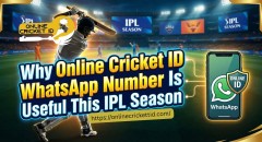 Why Online Cricket ID WhatsApp Number Is Useful This IPL Season