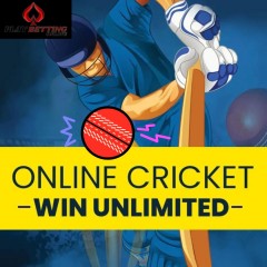 Important steps to play online games quickly on Play betting online cricket id provider 