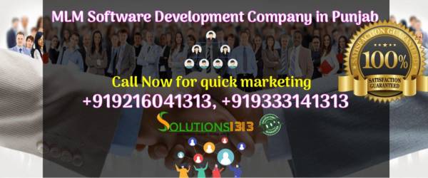 MLM Software Development Company in Punjab